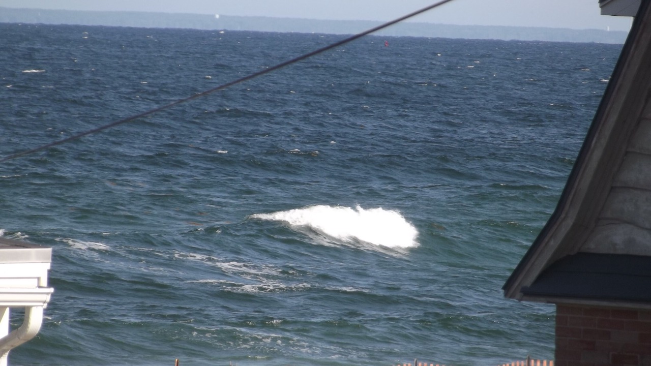Photo of Others in Seabrook