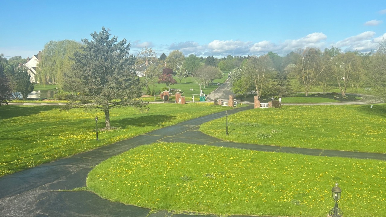 Photo of Outdoor in Mendon