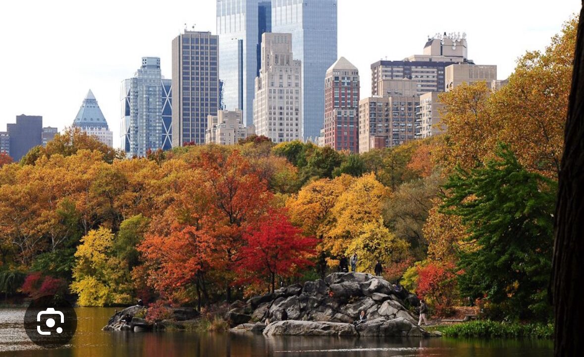 Photo of Others in Central Park North