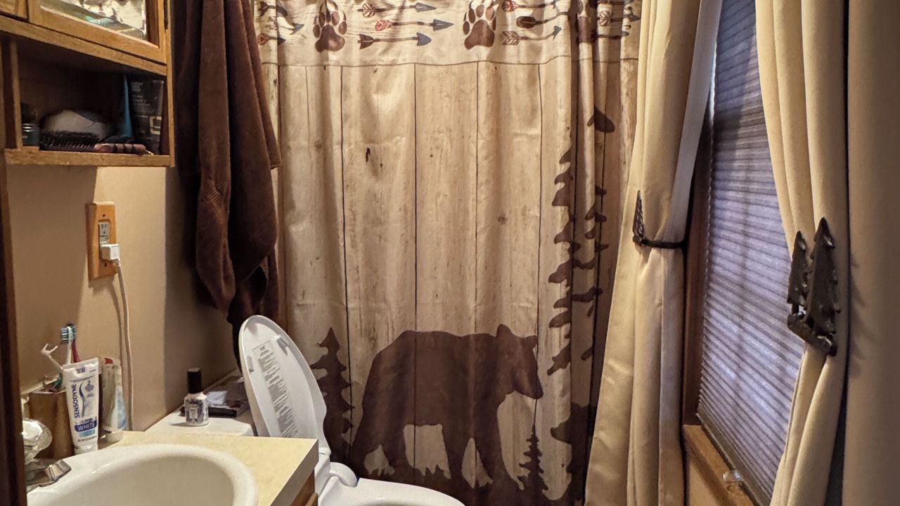 Photo of Bathroom in Homer