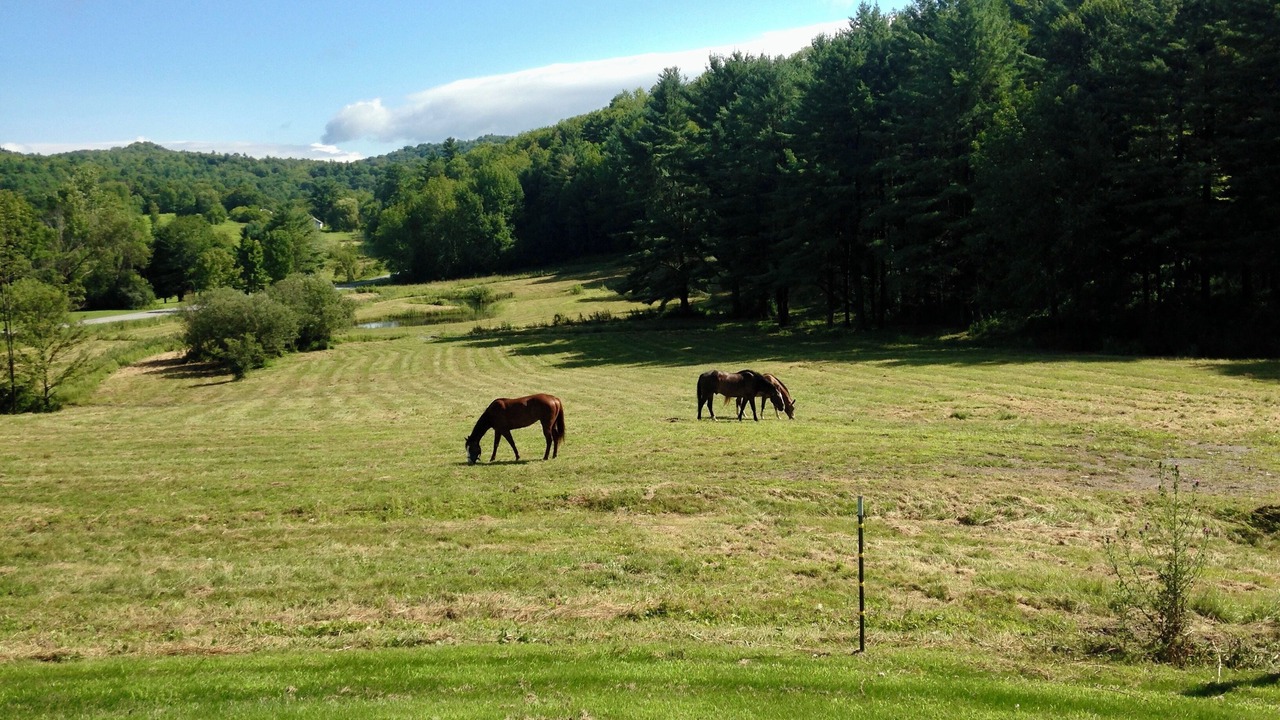 Photo of Others in Hubbardton
