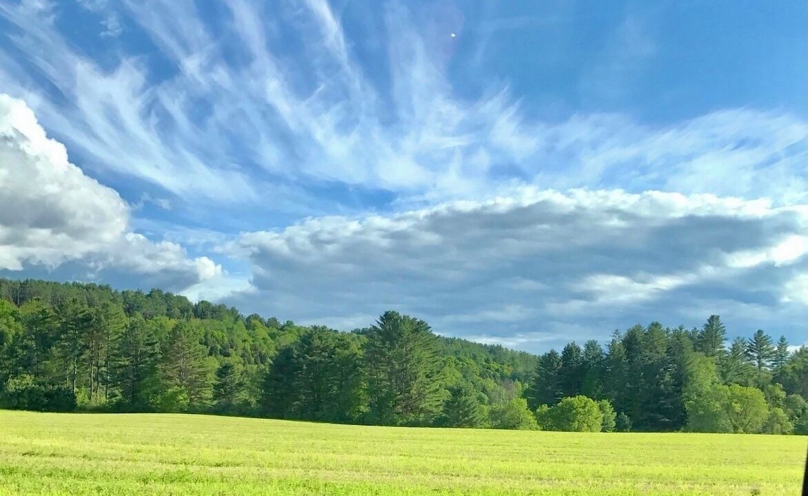 Photo of Others in Hubbardton