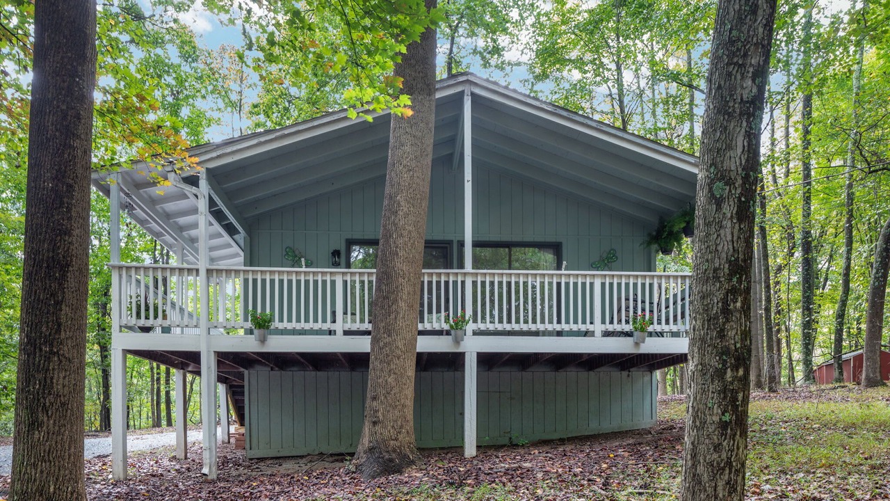 Photo of Outdoor in The Woods