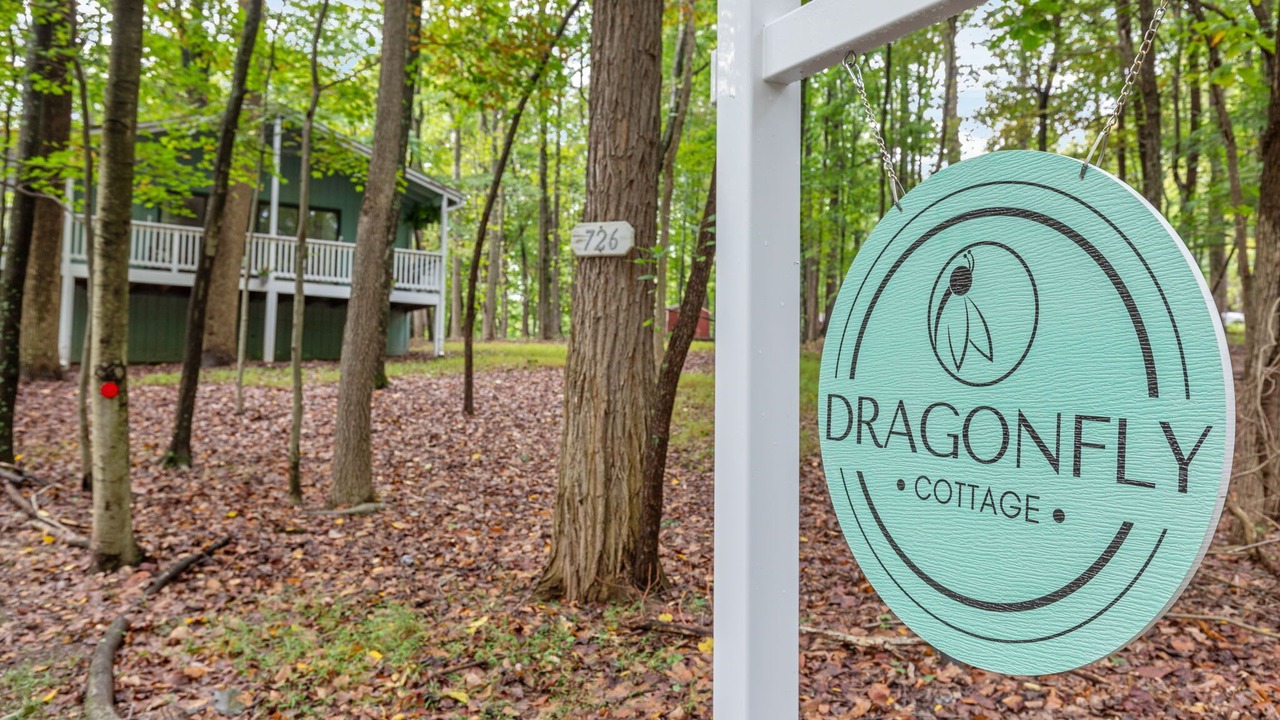 Photo of Outdoor in The Woods