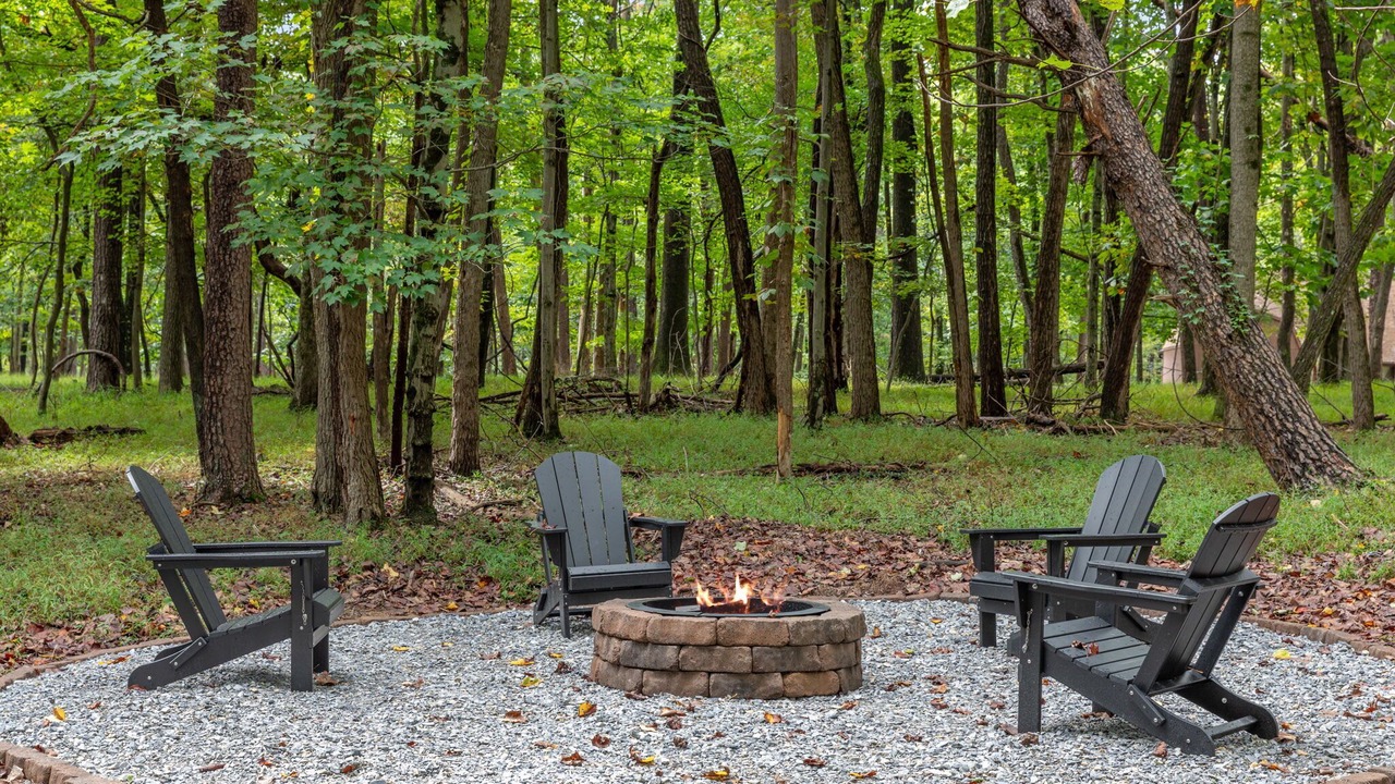 Photo of Outdoor in The Woods