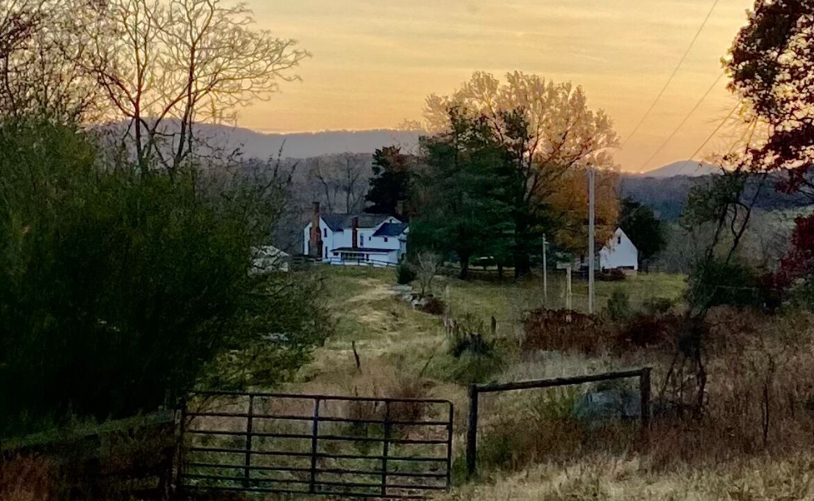 Photo of Others in Peaks