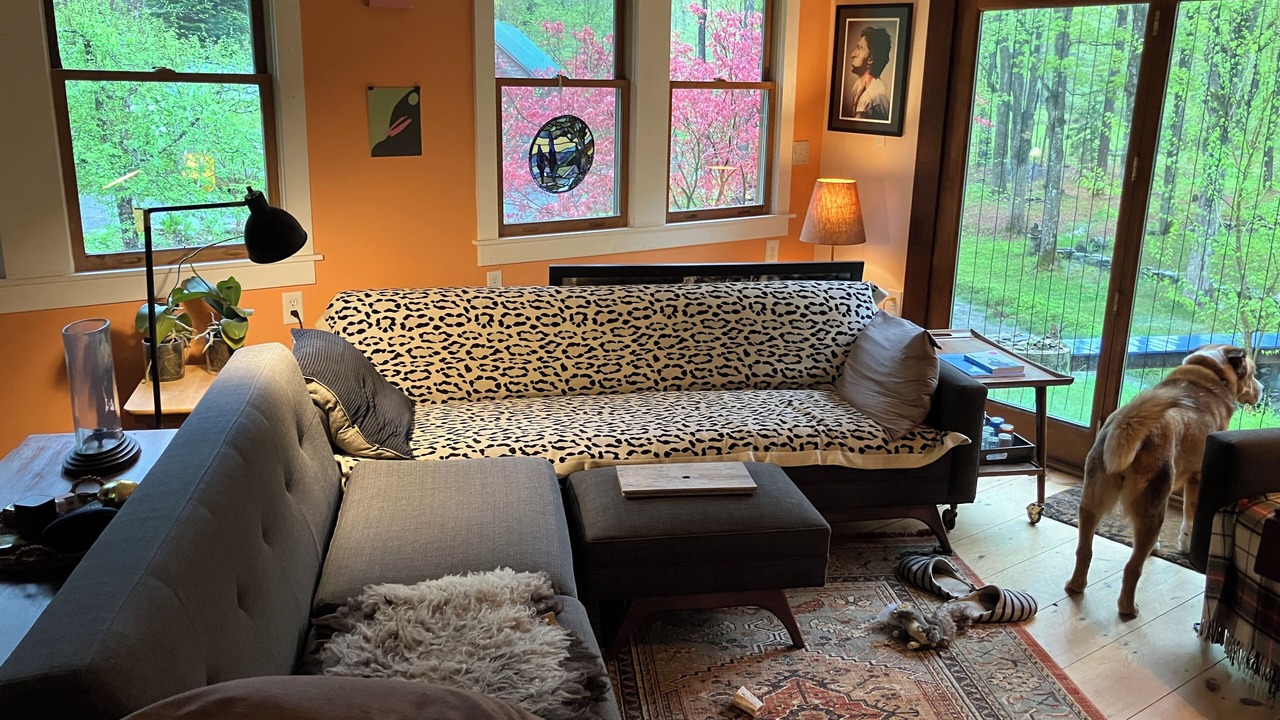 Photo of Livingroom in Brookline