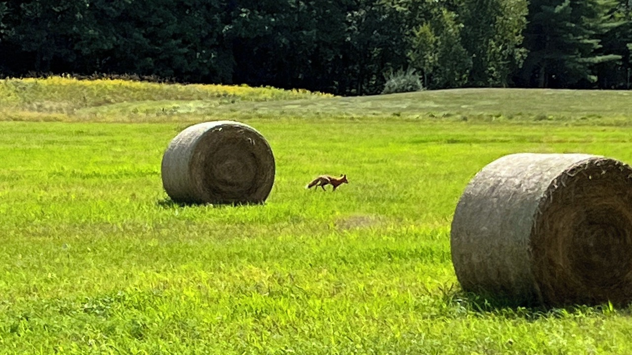 Photo of Others in Charlotte