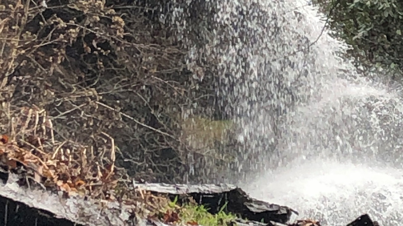 Photo of Others in Mount Carbon