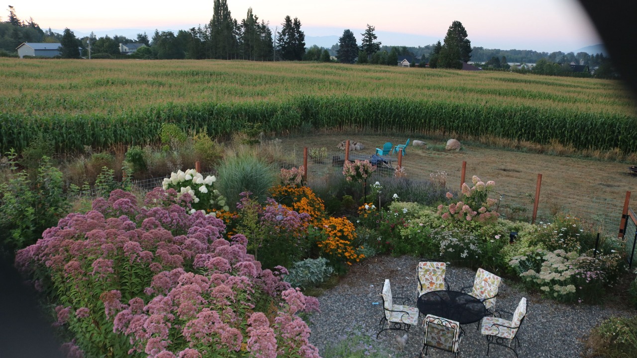 Photo of Outdoor in Ferndale