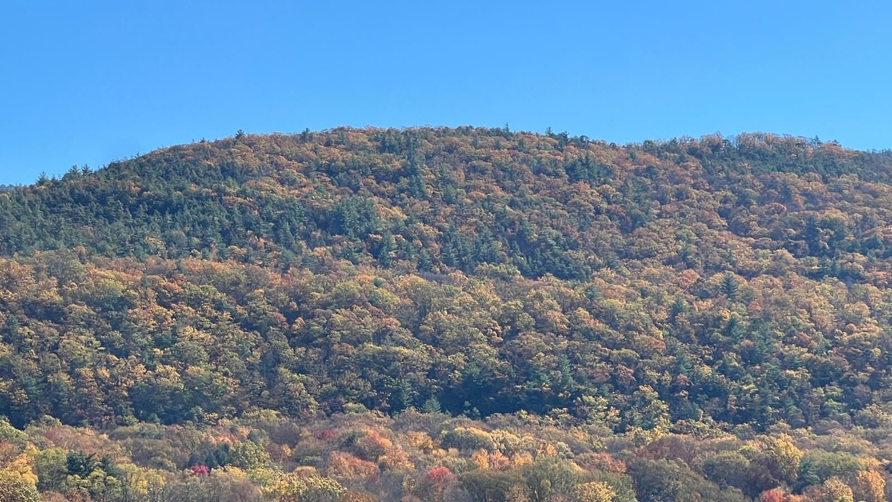 Photo of Others in Ellenville