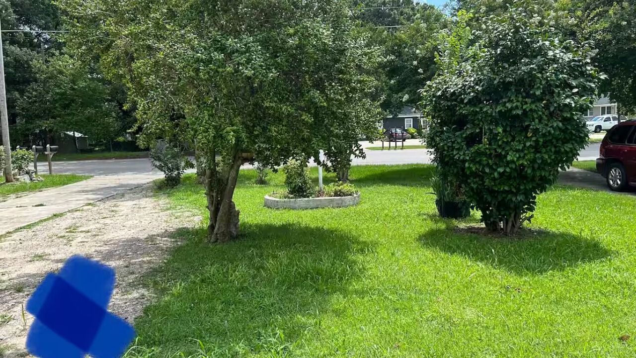 Photo of Outdoor in Wilson