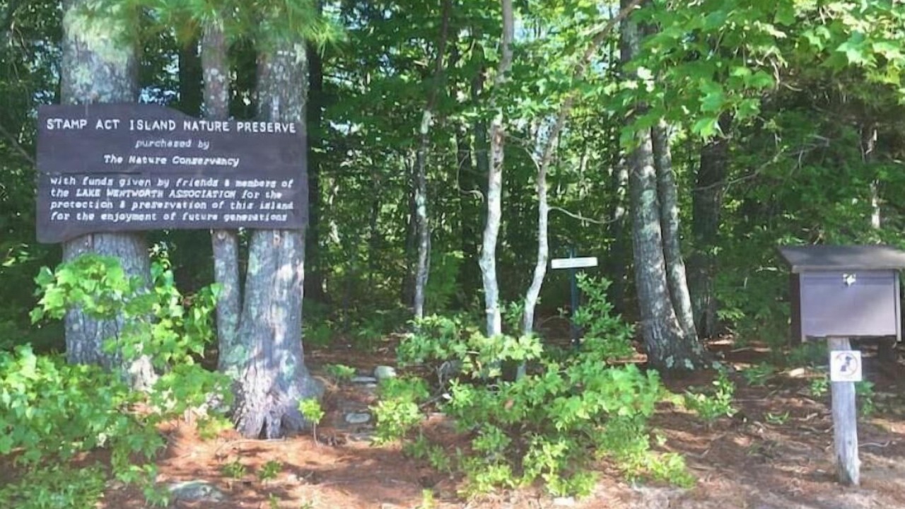 Photo of Others in Wolfeboro