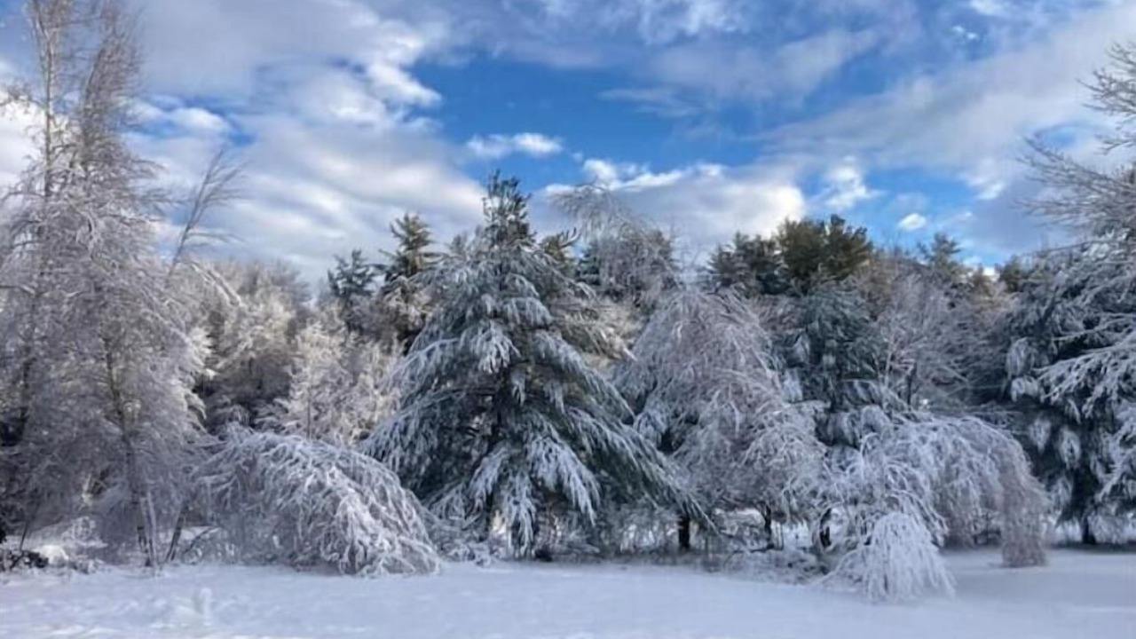 Photo of Others in Wolfeboro