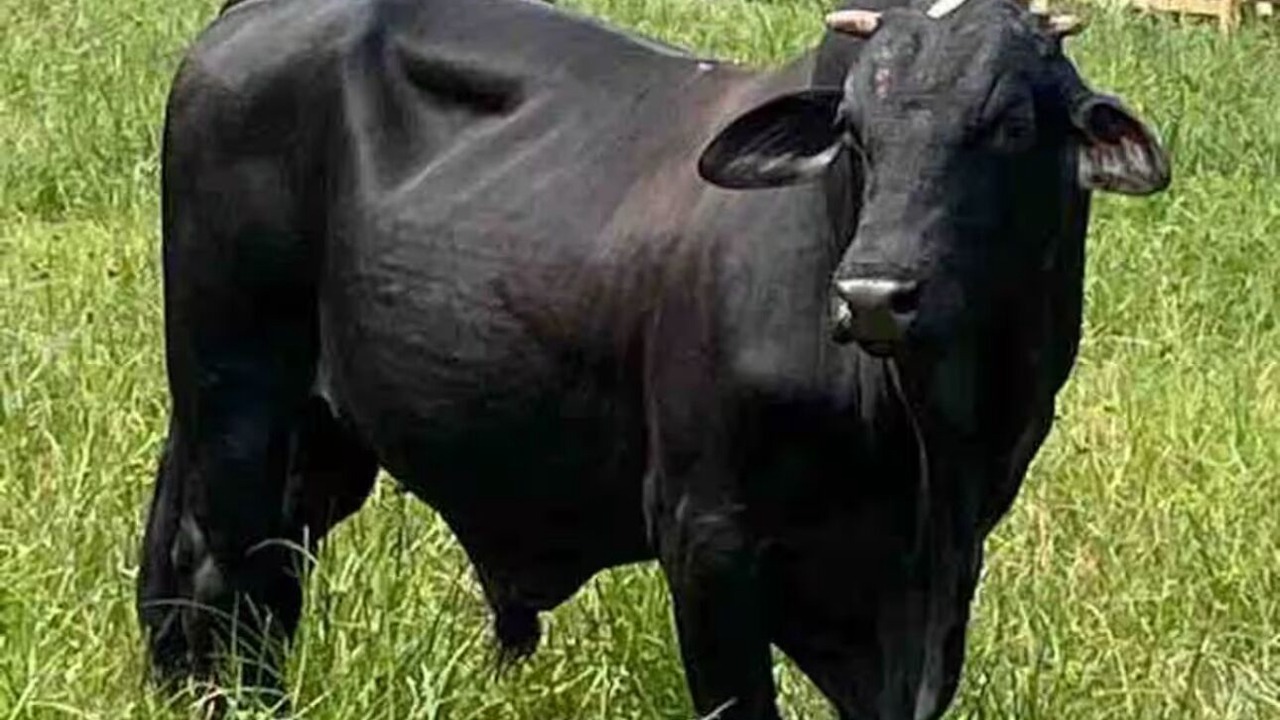 Photo of Others in Iowa Colony
