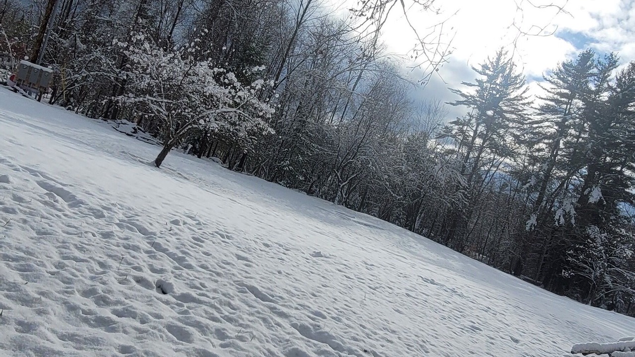 Photo of Others in Littleton