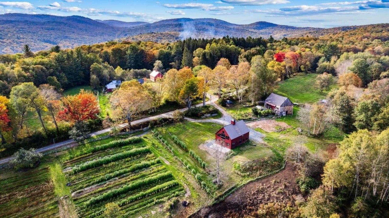 Photo of Outdoor in Barnard