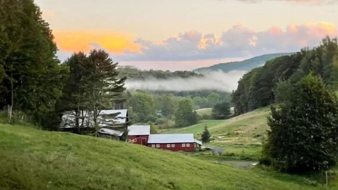 Photo of Others in Woodstock