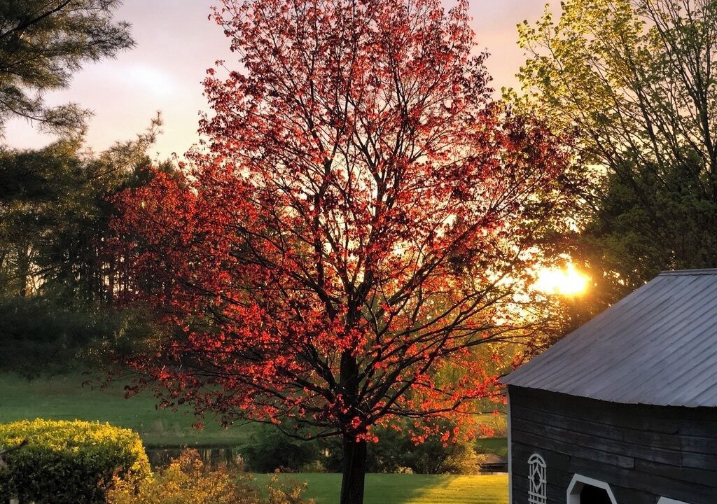 Photo of Outdoor in Rhinebeck Village Business District