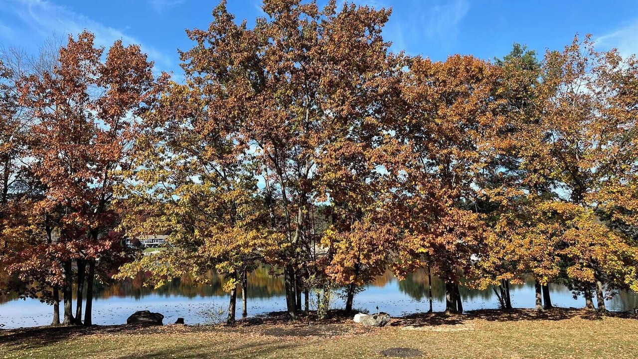 Photo of Others in Salem