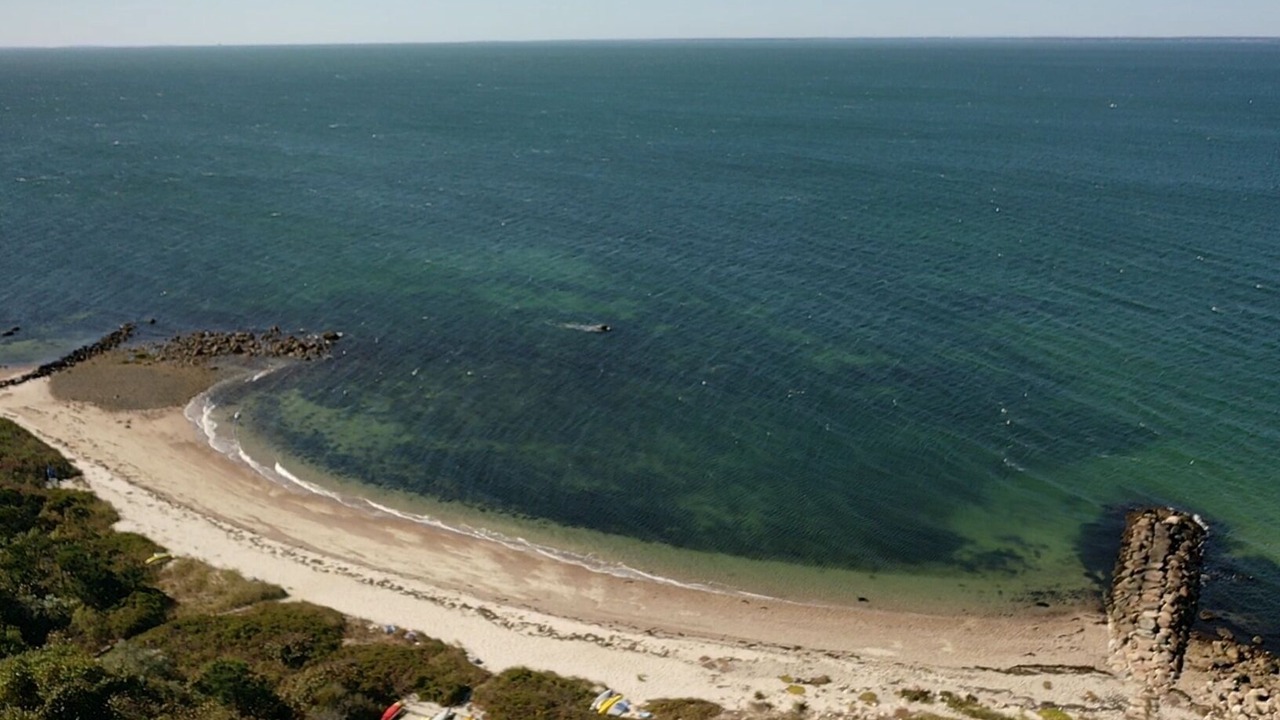 Photo of Others in West Falmouth