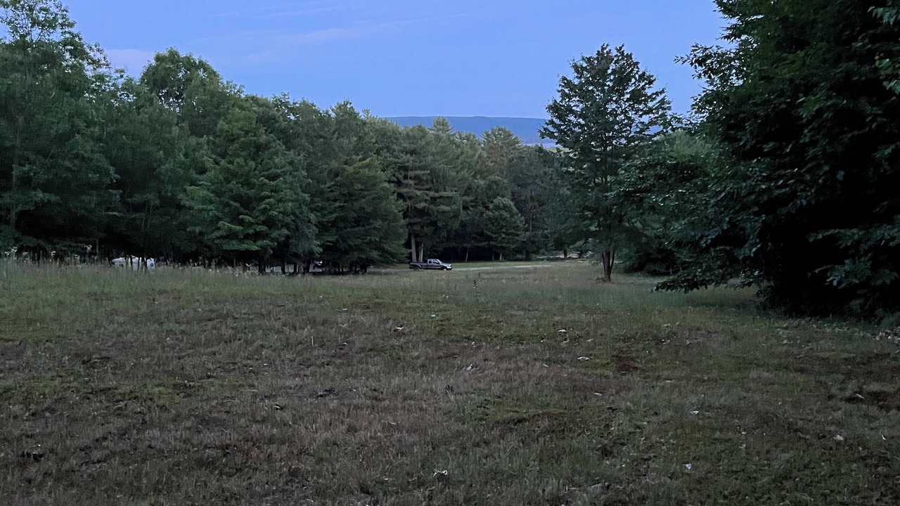 Photo of Others in Mayfield