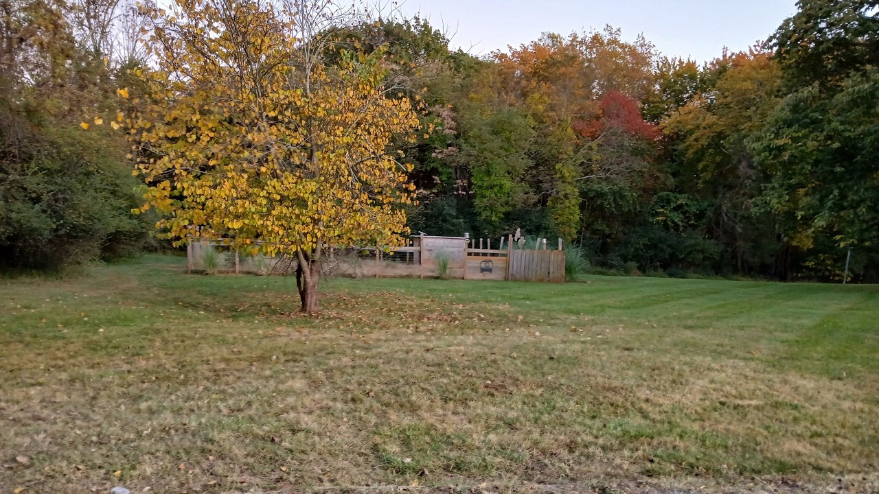 Photo of Outdoor in Bedford