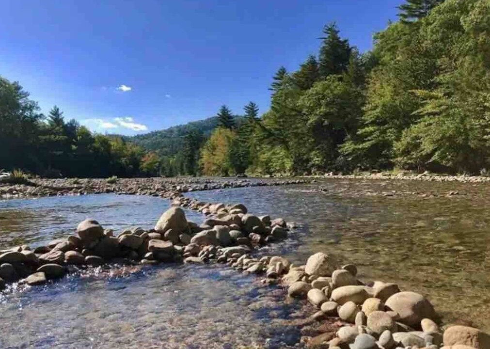 Photo of Others in Bartlett