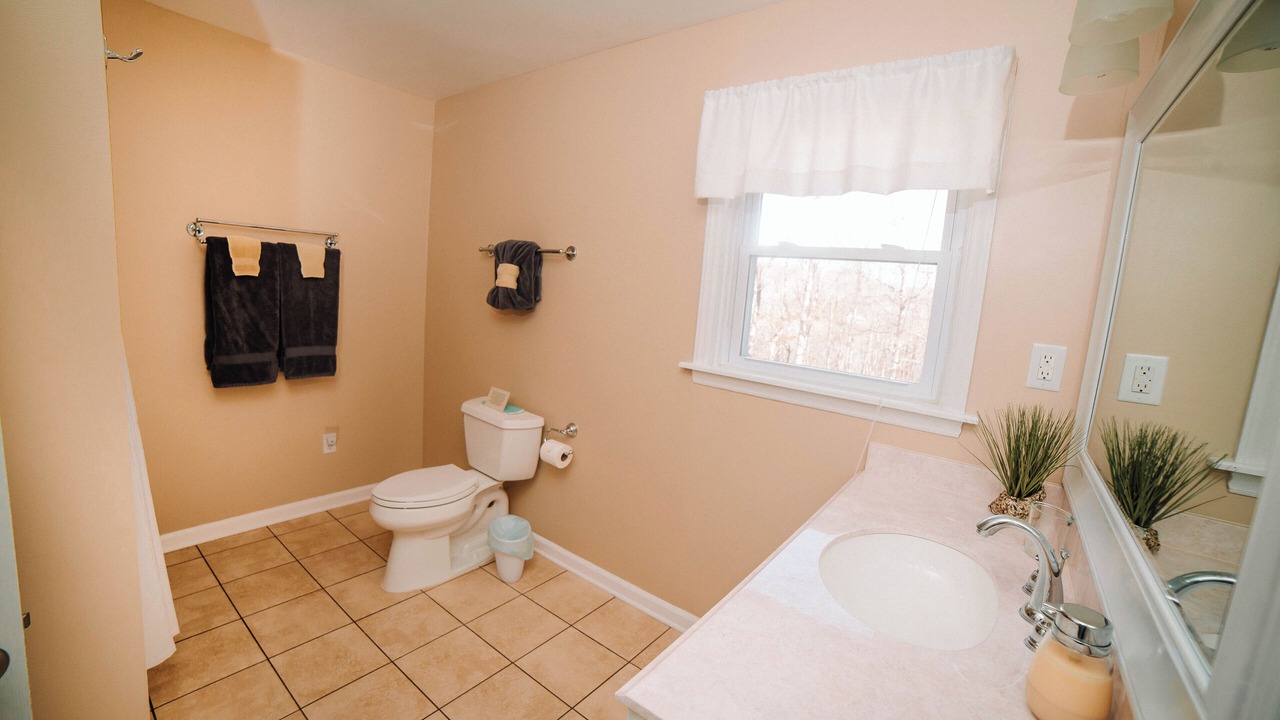 Photo of Bathroom in New River