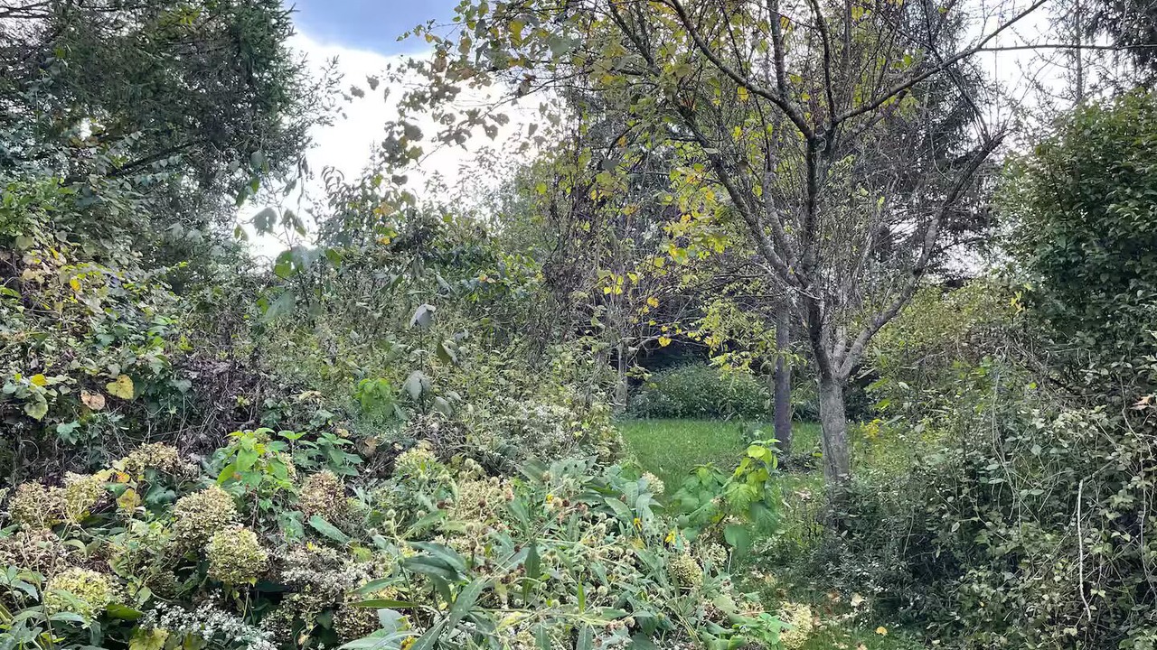 Photo of Outdoor in Xenia