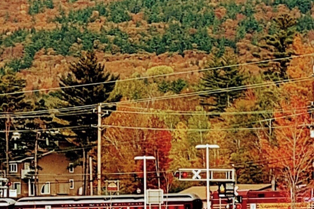 Photo of Others in Intervale