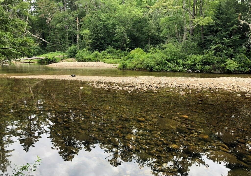 Photo of Others in North Woodstock