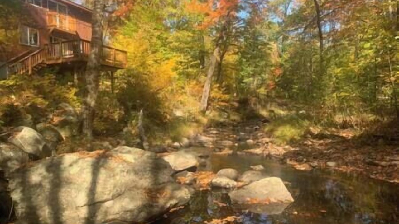 Photo of Others in Grafton