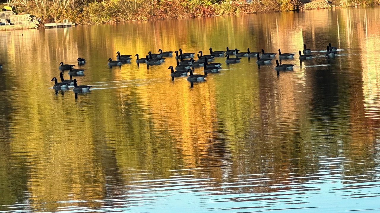Photo of Others in Barnstead