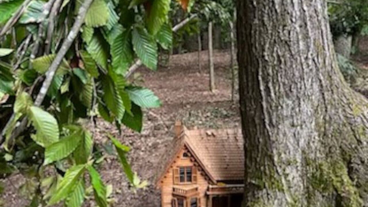 Photo of Outdoor in Quechee