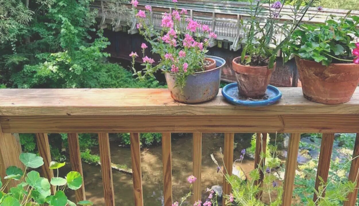 Photo of Outdoor in West Pawlet