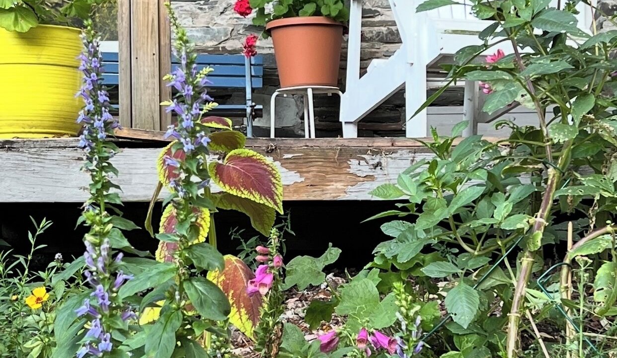 Photo of Outdoor in West Pawlet