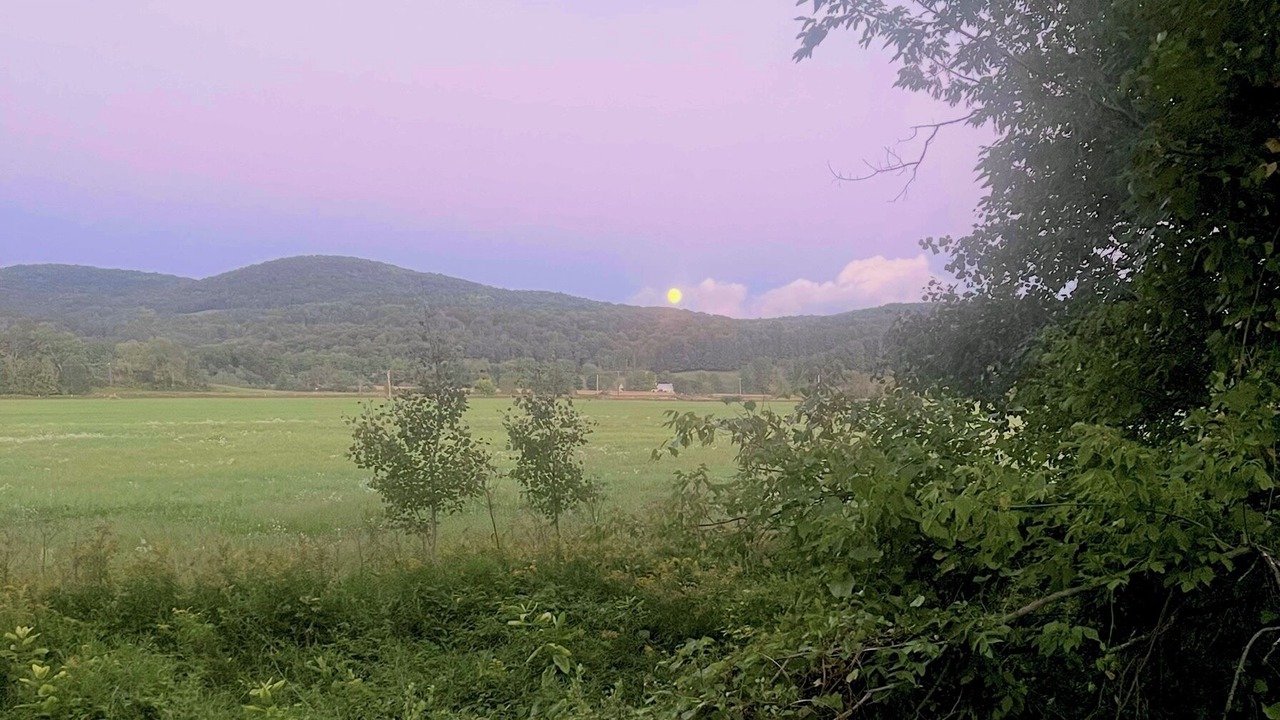 Photo of Others in West Pawlet