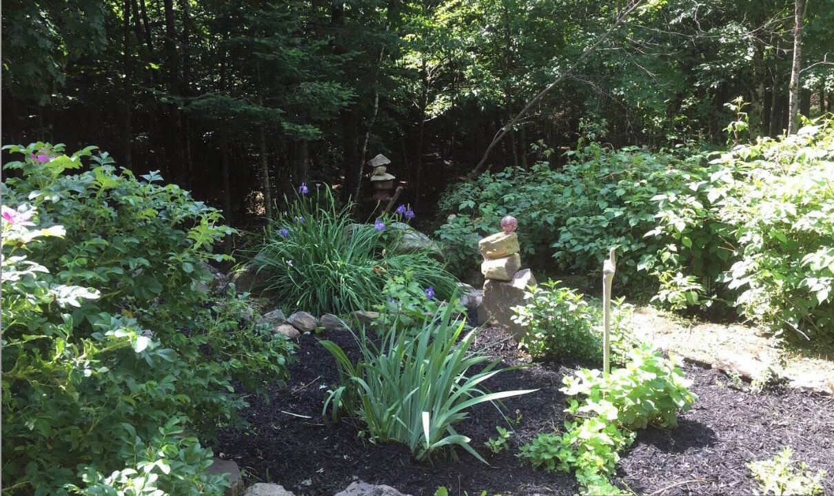 Photo of Outdoor in North Creek