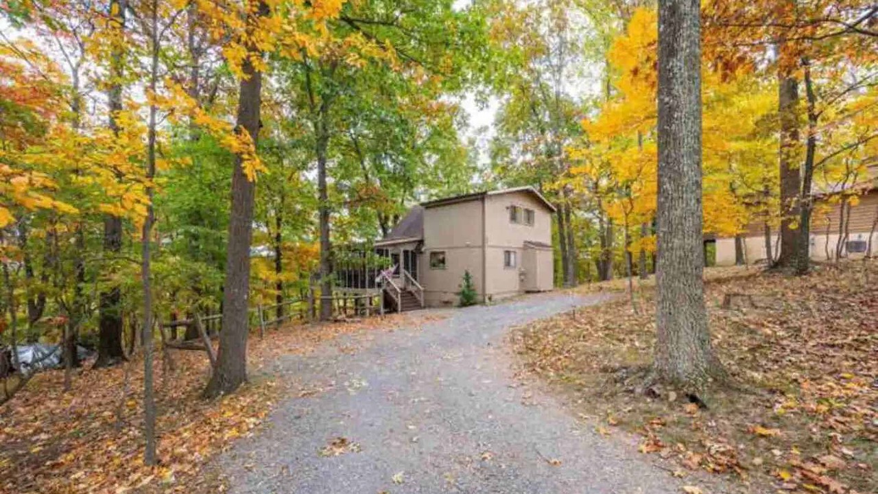 Photo of Outdoor in The Woods