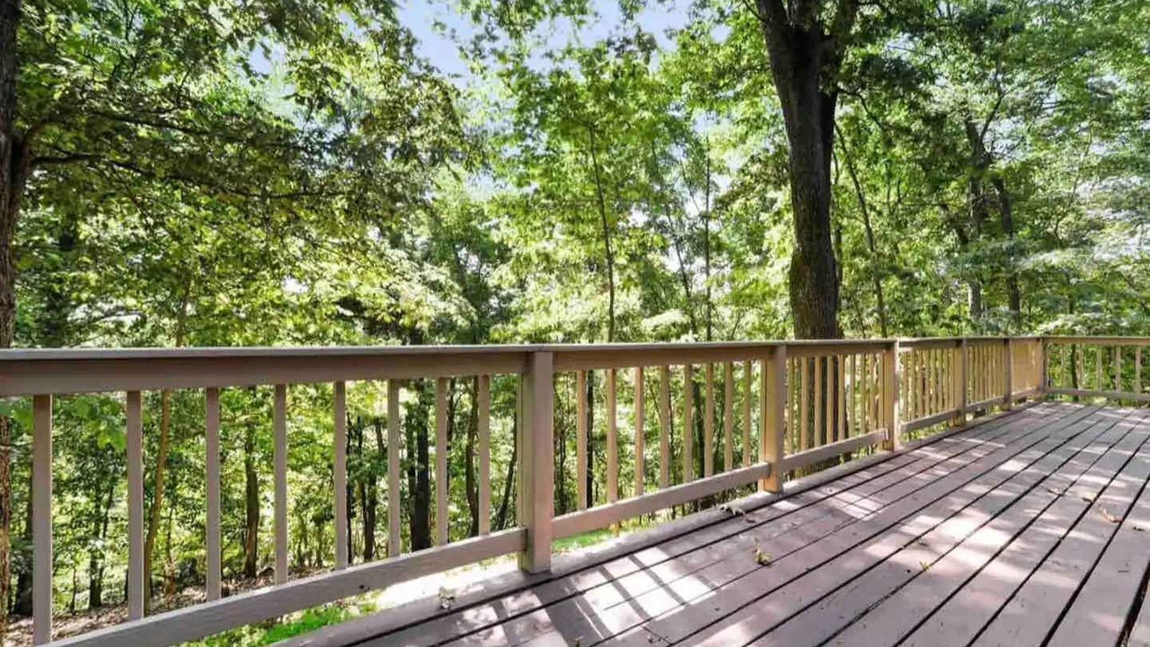 Photo of Outdoor in The Woods