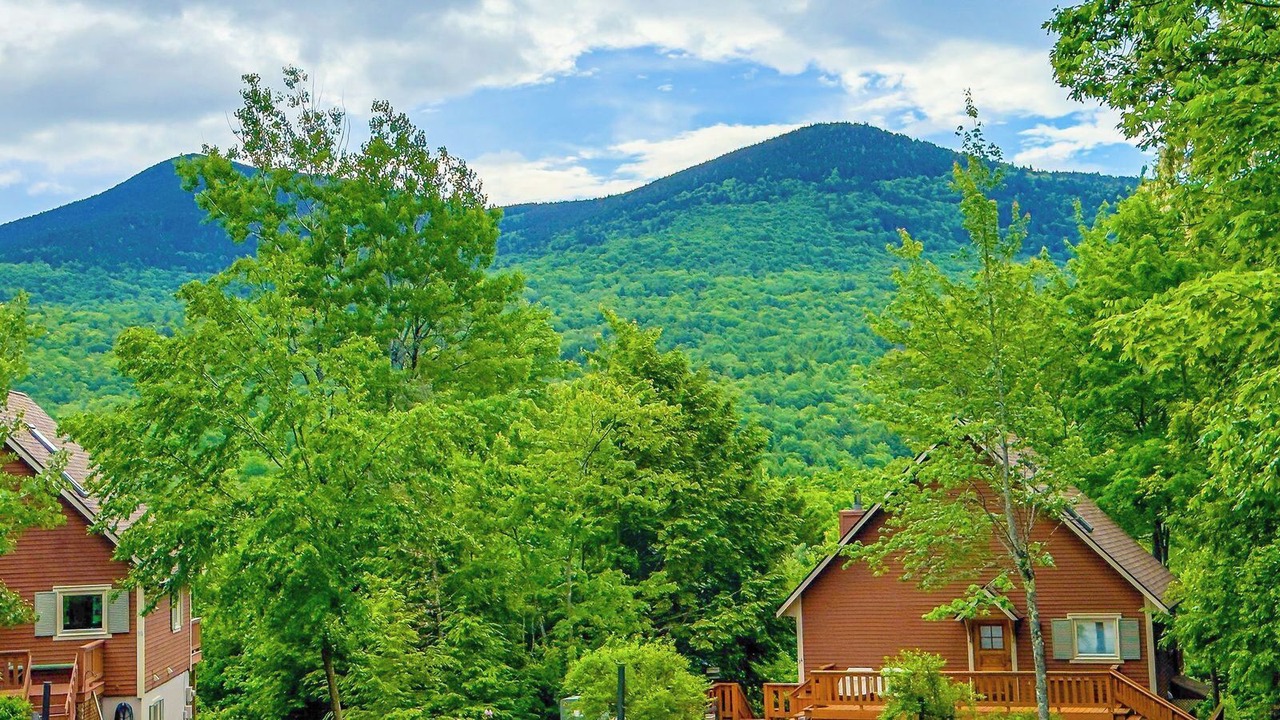 Photo of Outdoor in Intervale