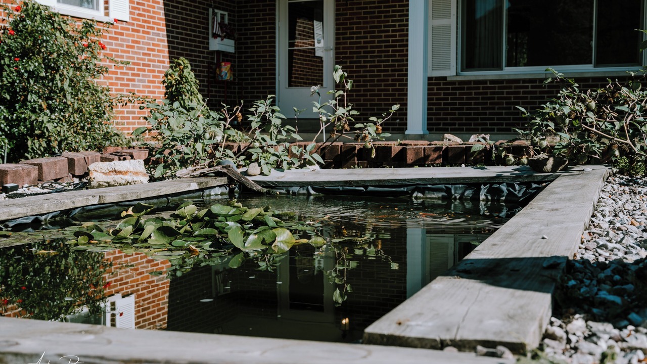 Photo of Outdoor in Mabscott