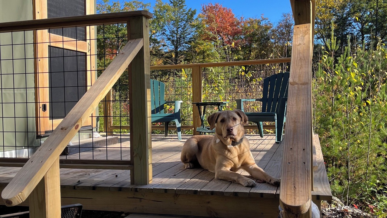 Photo of Patio Balcony in Hinsdale