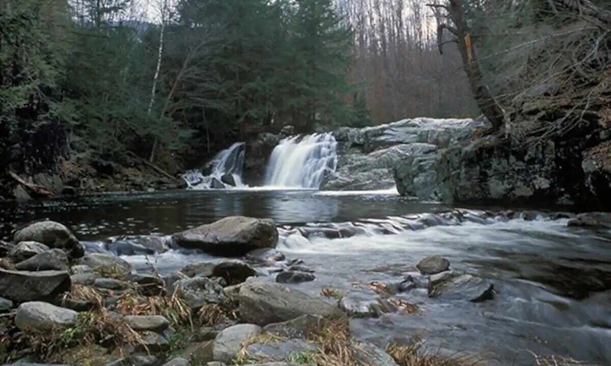 Photo of Others in Mount Holly