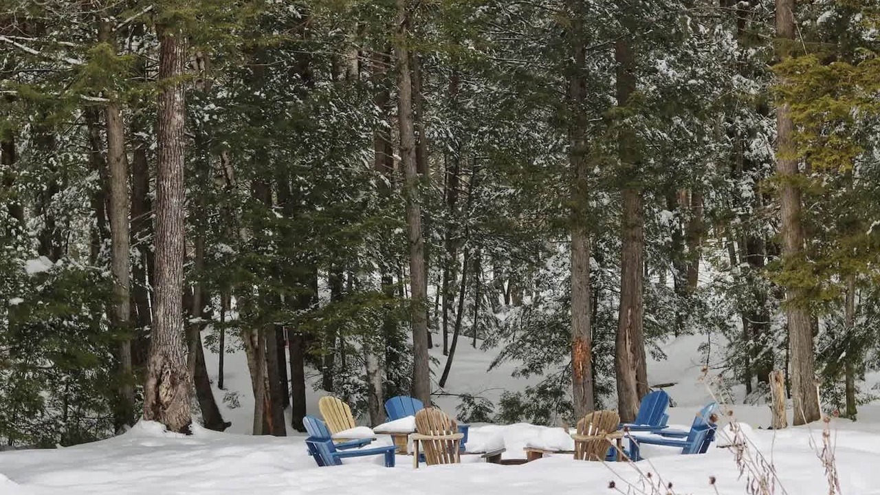 Photo of Outdoor in Elkins