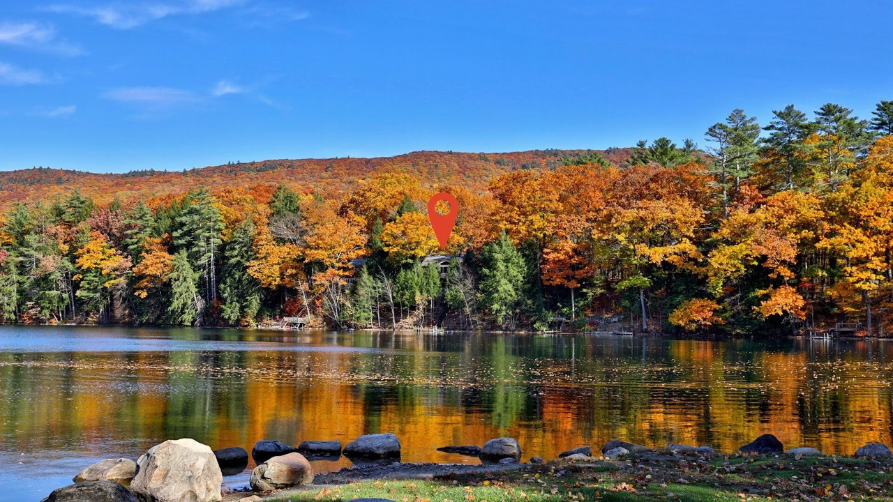 Photo of Others in Forest Dale