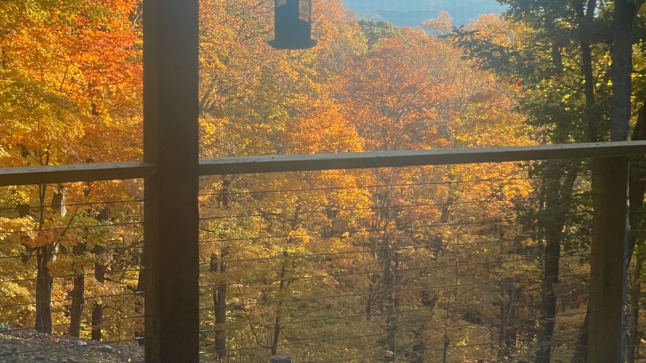 Photo of Outdoor in Upper Tract