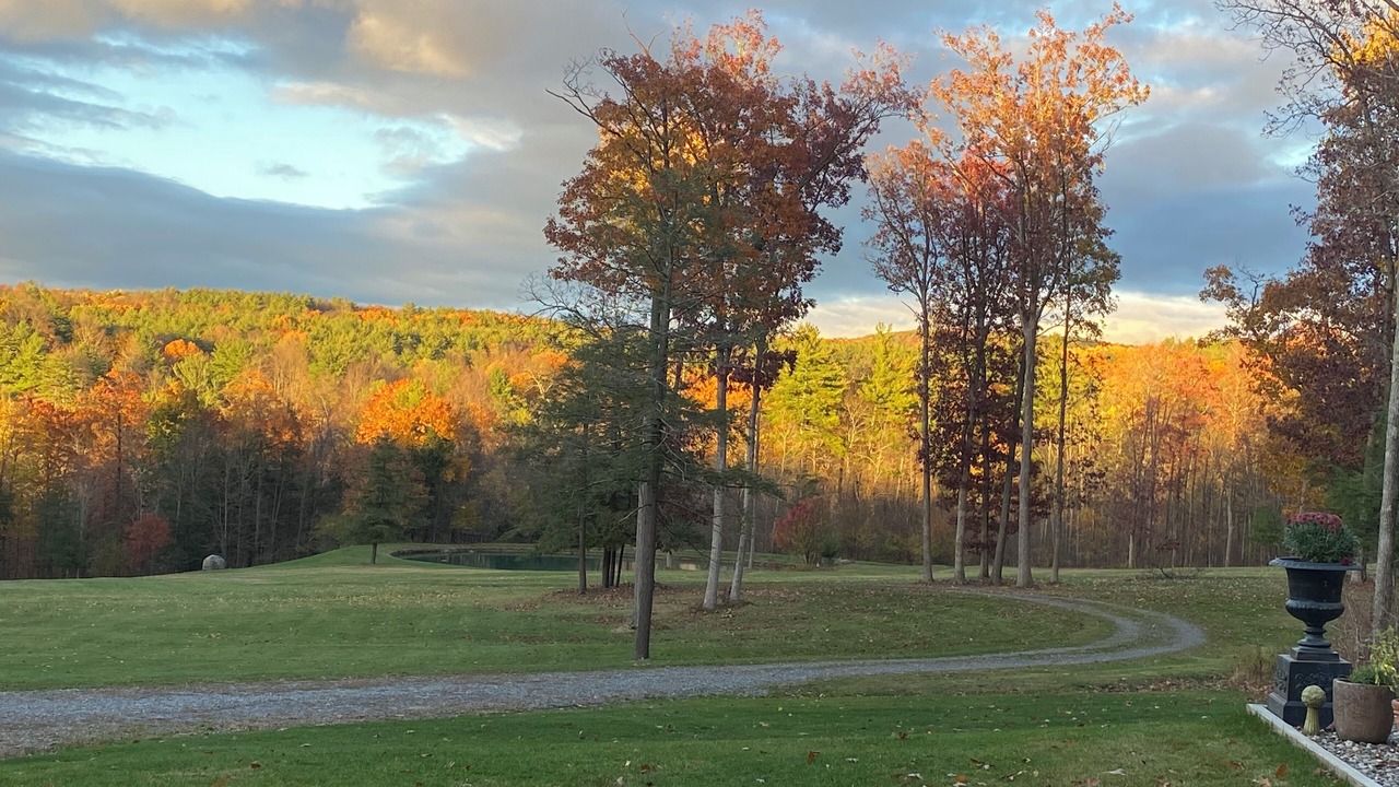 Photo of Outdoor in Old Chatham