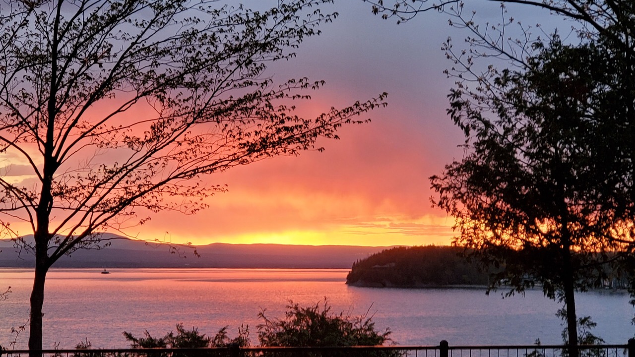 Photo of Others in Malletts Bay